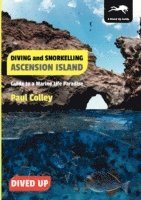bokomslag Diving and Snorkelling Ascension Island