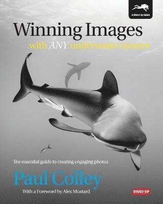 bokomslag Winning Images with Any Underwater Camera