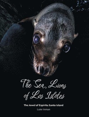 Luke Inman - Sea Lions of Los Islotes, Häftad
