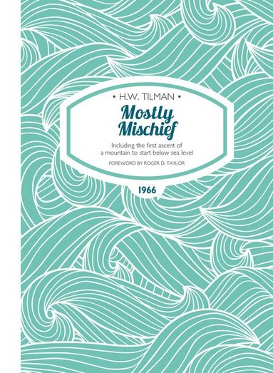 bokomslag Mostly Mischief Paperback