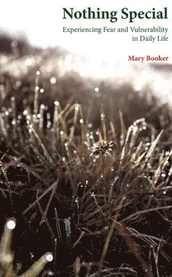 Mary Booker - Nothing Special, Häftad