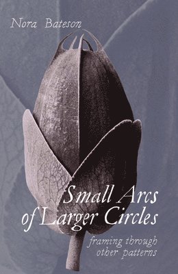 Nora Bateson - Small Arcs of Larger Circles, Häftad