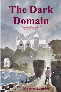 bokomslag Dark Domain