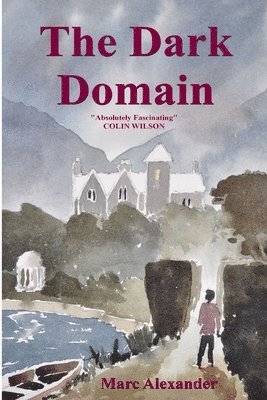 bokomslag Dark Domain