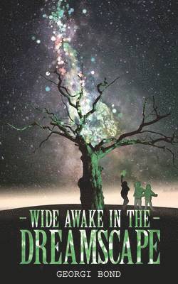 bokomslag Wide Awake in the Dreamscape