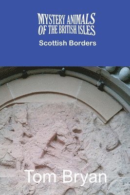 bokomslag Mystery Animals of the British Isles