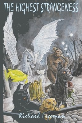 Richard Freeman - Highest Strangeness, Häftad