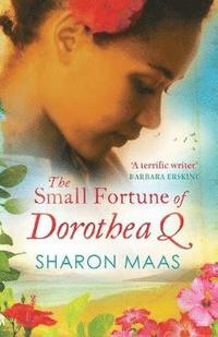 bokomslag The Small Fortune of Dorothea Q