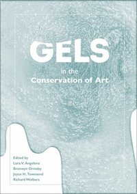 bokomslag Gels in the Conservation of Art