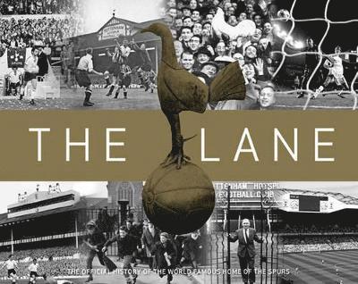 The Lane 1