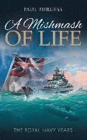 Paul Burgess - Mishmash of Life, Häftad
