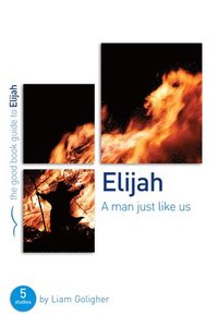 bokomslag Elijah: A man just like us