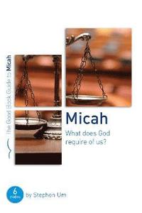 bokomslag Micah: What Does God Require of Us?