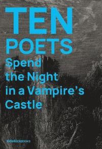 bokomslag Ten Poets Spend the Night in a Vampire's Castle