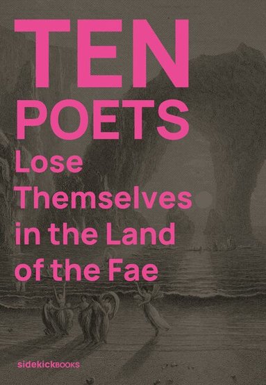 Kirsten Irving, Jon Stone - Ten Poets Lose Themselves in the Land of the Fae, Häftad