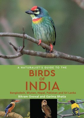 Bikram Grewal, Garima Bhatia - NATURALISTS GT THE BIRDS OF IN, Häftad
