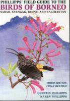 bokomslag Phillipps' Field Guide to the Birds of Borneo