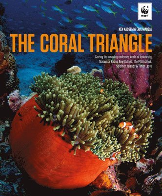 Ken Kassem - The Coral Triangle, Inbunden