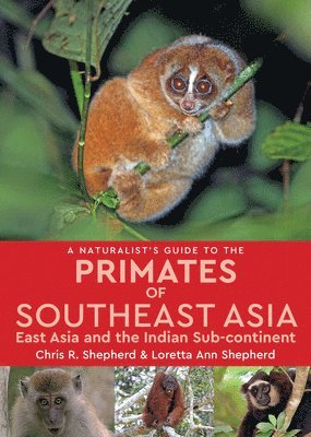 Loretta Shepherd, Chris Shepherd - A Naturalist's Guide to the Primates of Southeast Asia: East Asia and the Indian Sub-Continent, Häftad