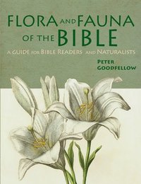 bokomslag Flora & Fauna of the Bible