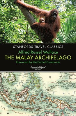 The Malay Archipelago 1