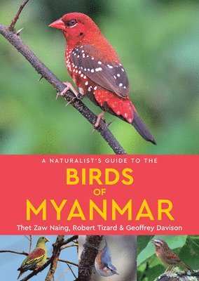 Robert Tizard, Thet Zaw Naing, Geoffrey Davison - Naturalist's Guide to the Birds of Myanmar, Häftad