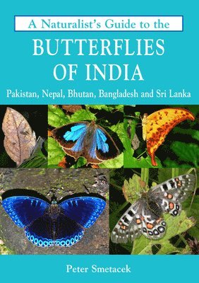 bokomslag Naturalist's Guide to the Butterflies of India