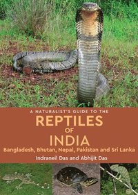 bokomslag A Naturalist's Guide to the Reptiles of India