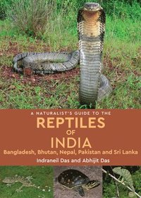 bokomslag Naturalist's Guide to the Reptiles of India