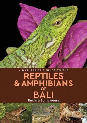 Ruchira Somaweera - A Naturalist's Guide to the Reptiles & Amphibians of Bali, Häftad