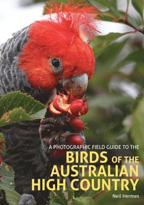 Neil Hermes - A Photographic Field Guide to the Birds of the Australian High Country, Häftad