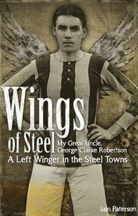 bokomslag Wings of Steel