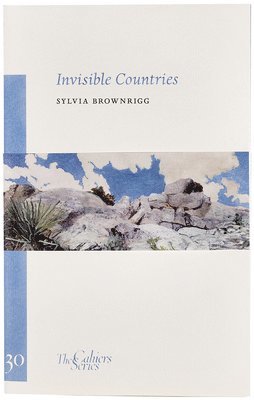 bokomslag Invisible Countries