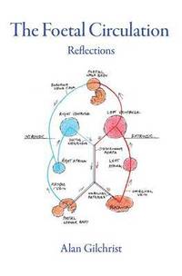 bokomslag The Foetal Circulation