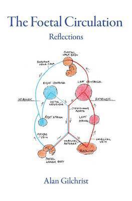 The Foetal Circulation 1