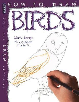 bokomslag How To Draw Birds
