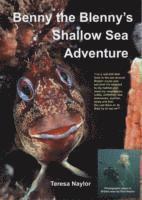 bokomslag Benny the Blenny's Shallow Sea Adventure