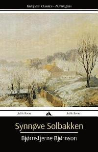 Bjørnstjerne Bjørnson - Synnøve Solbakken, Häftad