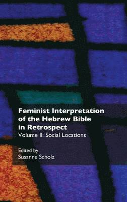 Susanne Scholz - Social Locations, Inbunden