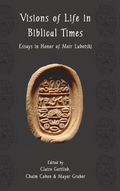 Claire Gottlieb, Chaim Cohen, Mayer Gruber - Visions of Life in Biblical Times, Inbunden