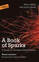 Shaun Lambert - Book of Sparks, Häftad