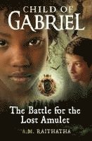 A. M. Raithatha - Battle for the Lost Amulet, Häftad
