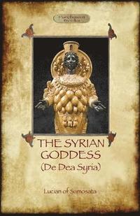 bokomslag The Syrian Goddess