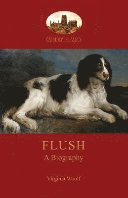 Virginia Woolf - Flush, Häftad