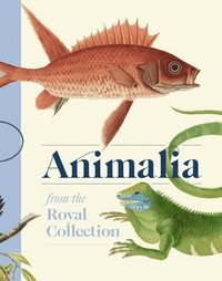 bokomslag Animalia