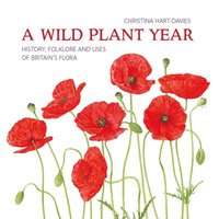 bokomslag A Wild Plant Year