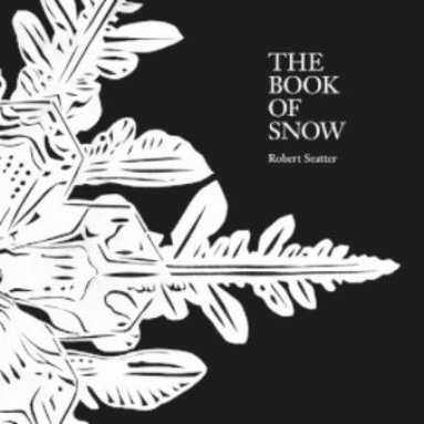 bokomslag Book of Snow