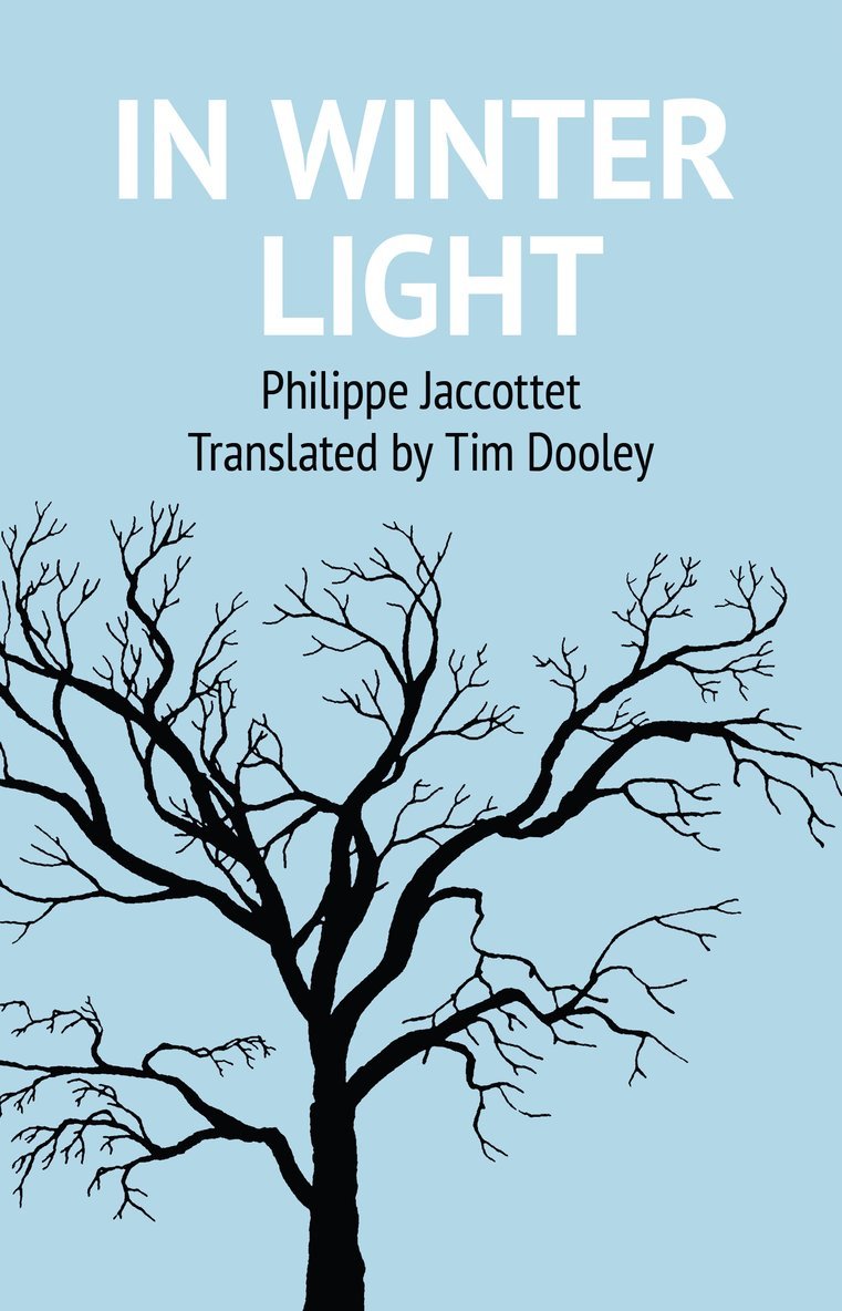 Philippe Jaccottet - In Winter Light, Häftad