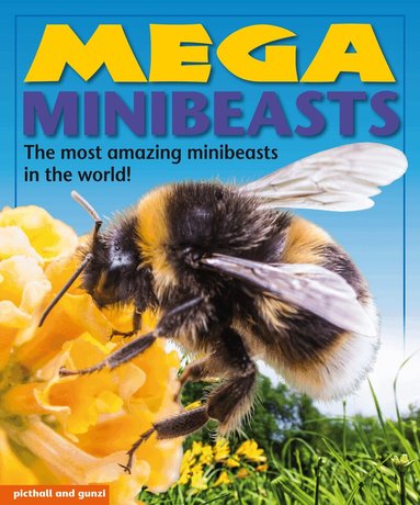 Nina Filipek - Mega Minibeasts, Häftad