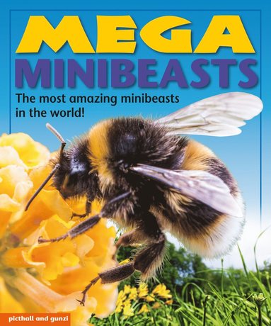 bokomslag Mega Minibeasts